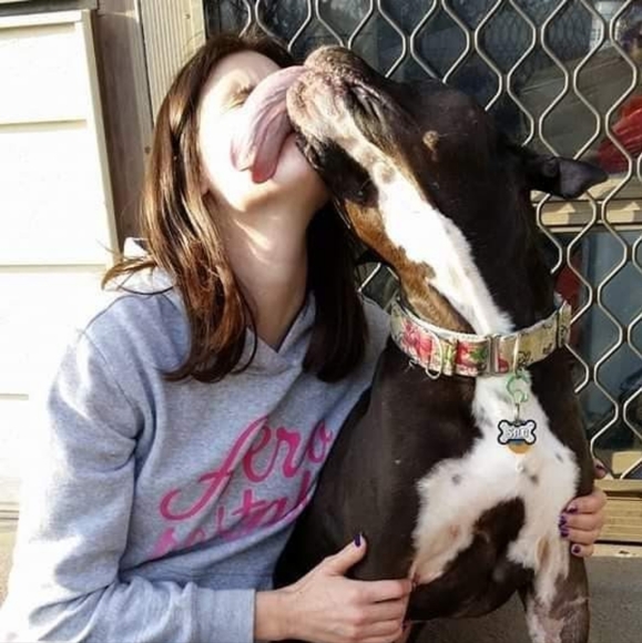 Other - 🐾LIVE/SILENT SHOW LISTING 🐾🐾🐾🐾